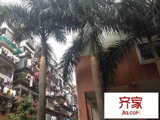 蒼霞新城外景圖 