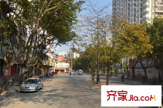 白馬花園配套圖周邊配套 街道