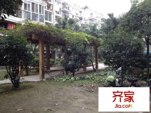 興元星辰外景圖 