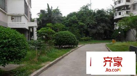 金城小區(qū)外景圖 