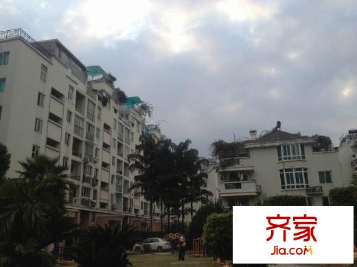 金山碧水一期醉棠苑外景圖 