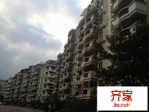 金山碧水一期醉棠苑外景圖 