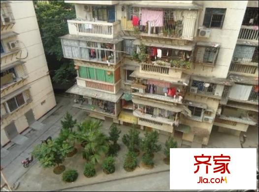 白水塘小區(qū)外景圖 