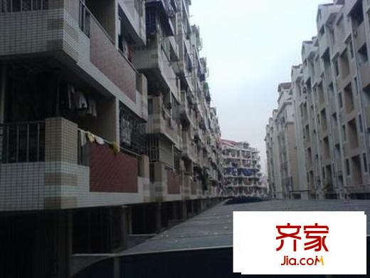 安平小區(qū)外景圖 