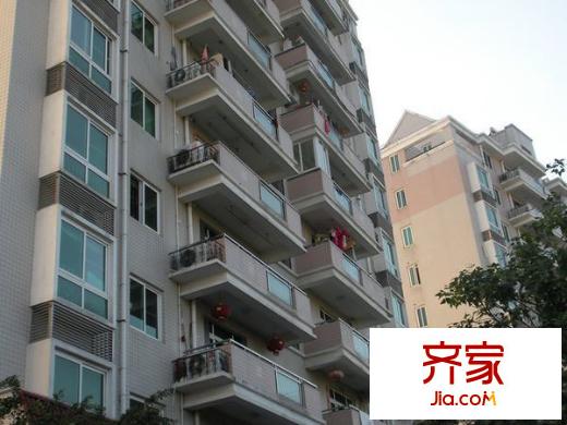 金山碧水一期風(fēng)荷苑外景圖 