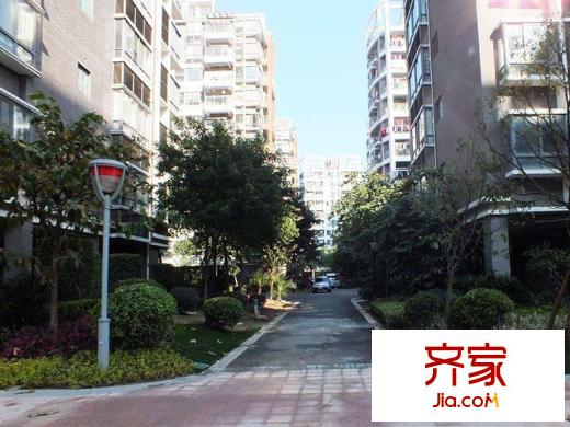 金輝萊茵城外景圖 