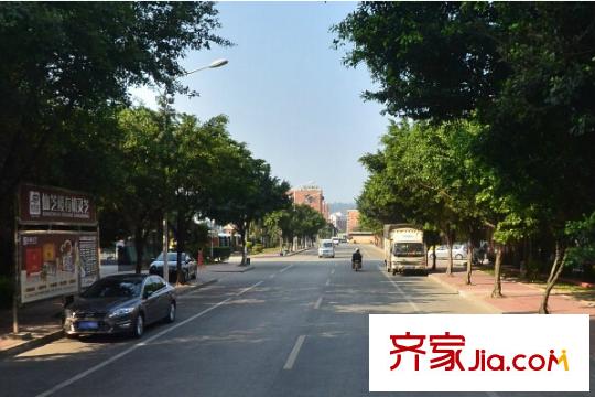 金山桔園一期鑫苑配套圖周邊配套 街道