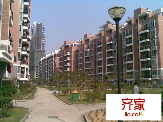 金山桔園一期吉苑外景圖 
