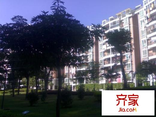 金山桔園一期吉苑外景圖 