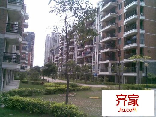 金山桔園一期吉苑外景圖 