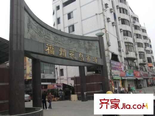 紅星苑配套圖福州花鳥市場(chǎng)