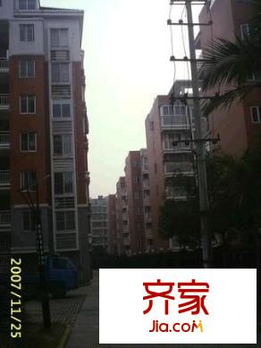 金色家園外景圖 