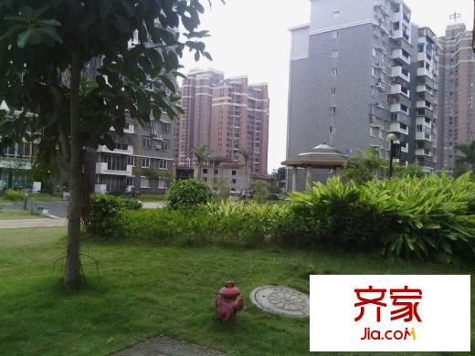 金閩小區(qū)外景圖 