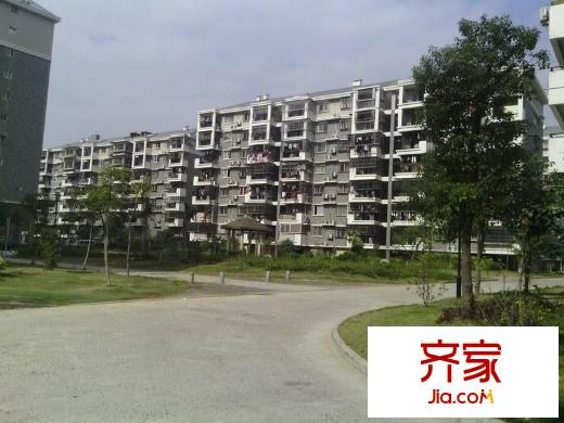 金閩小區(qū)外景圖 