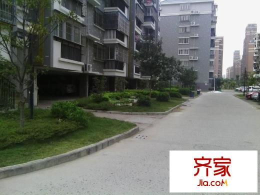 金閩小區(qū)外景圖 