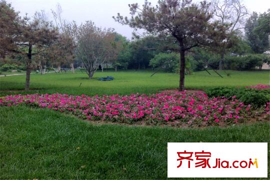 書香錦里周邊武清文化公園
