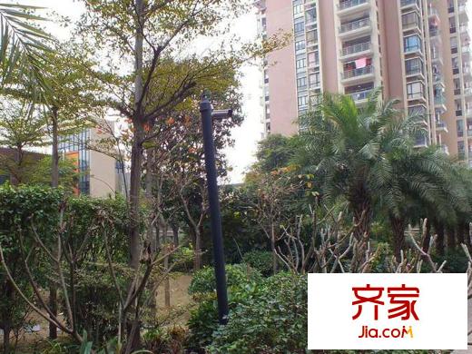 棕櫚泉國際花園外景圖 