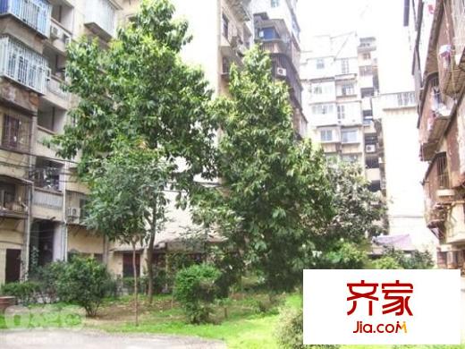 水松小區(qū)外景圖 