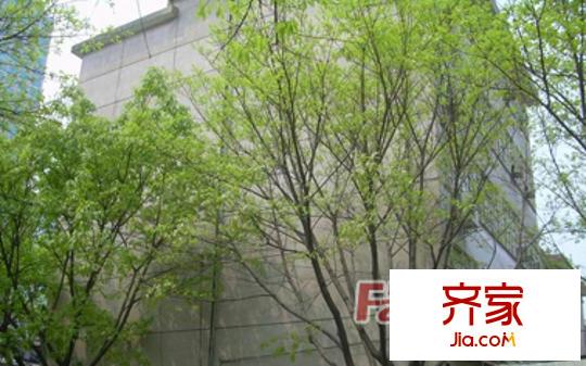 秘書巷新村
