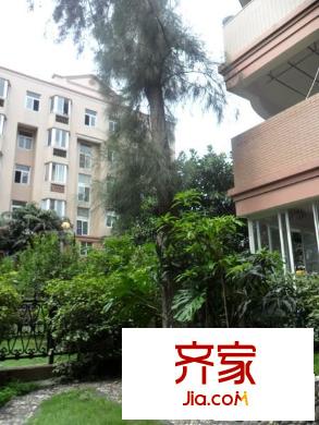 金橋花園玫瑰苑外景圖 