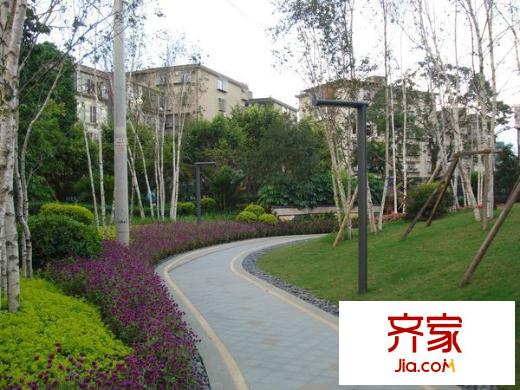 陽光理想城香草天空外景圖陽光理想城 