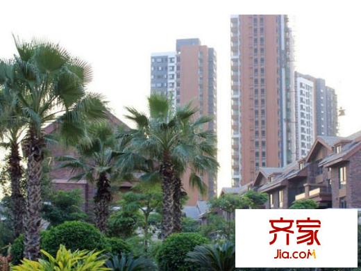 陽光理想城香草天空外景圖陽光理想城 