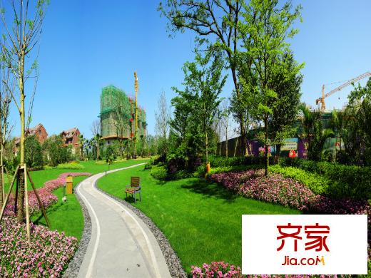陽光理想城香草天空外景圖（20130718）