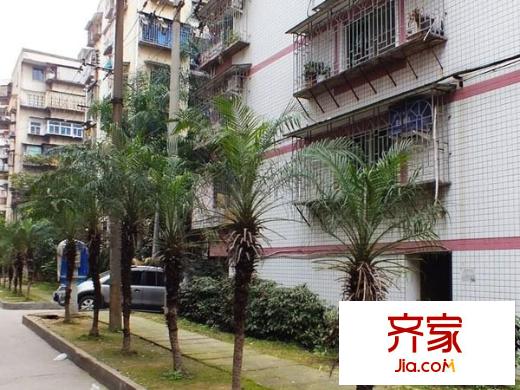 大王里西洪新村外景圖 