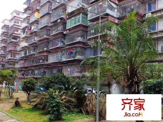 大王里西洪新村外景圖 