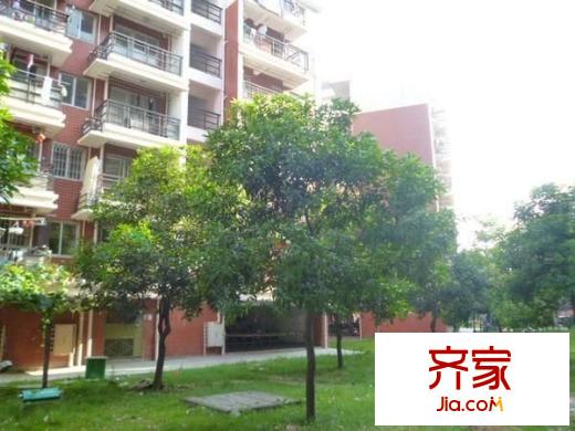 金建小區(qū)外景圖 