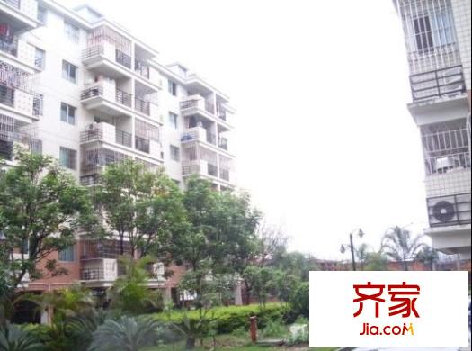金建小區(qū)外景圖 