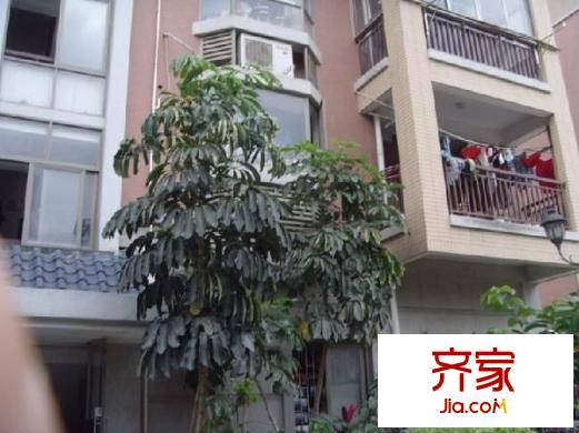 大唐世家動力火車外景圖 