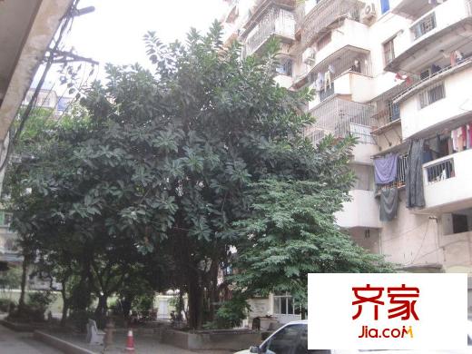 河下小區(qū)外景圖 