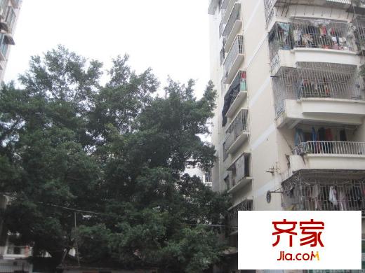 河下小區(qū)外景圖 