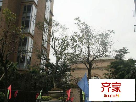 三迪凱旋楓丹外景圖 