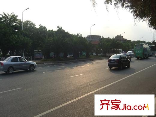 都會(huì)華彩交通圖交通路況