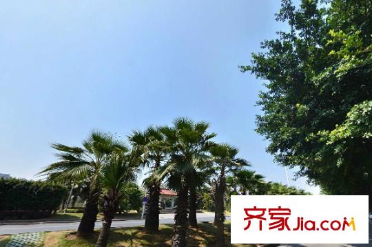 心家泊配套圖周邊配套 江濱街道