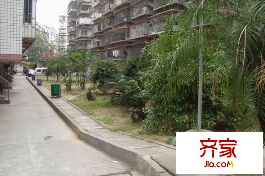 西洪新村外景圖 