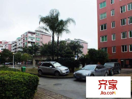 金山碧水一期紫竹苑外景圖 