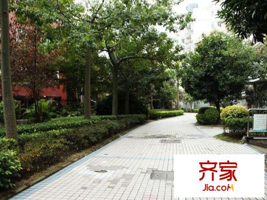 金山豪景