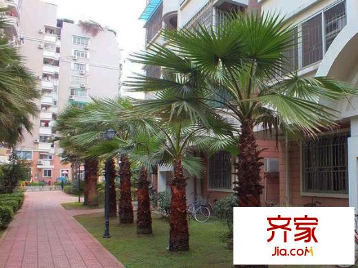 捷報(bào)花園外景圖 