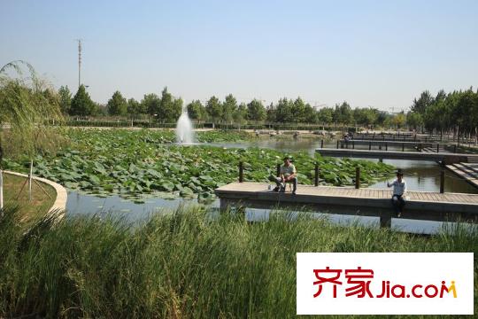 華潤橡樹灣南行500米垂釣公園