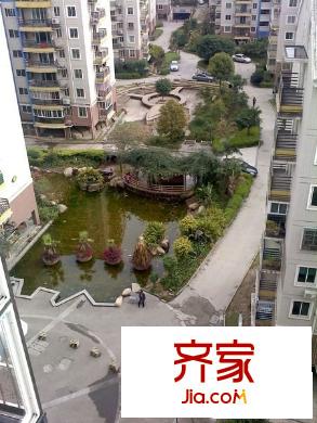 武夷綠洲外景圖 
