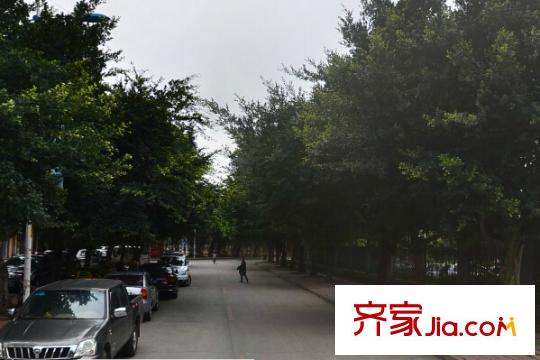 武夷國際城配套圖周邊配套 街道