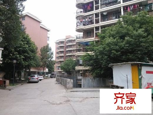 浦上小區(qū)外景圖 