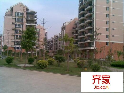 金山桔園二期景園外景圖 