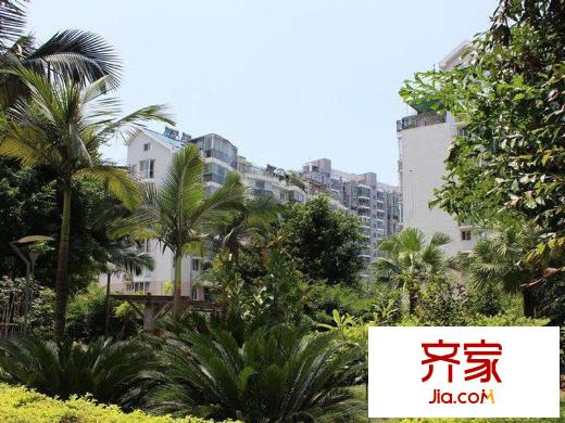 金山明珠外景圖 