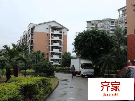 金山碧水一期翠榕苑外景圖 