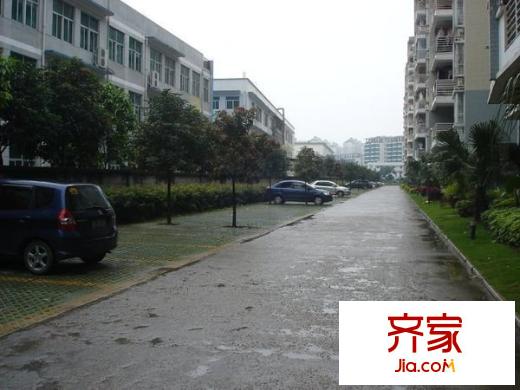 中茵加洲花城外景圖 