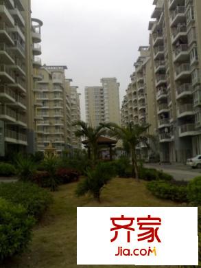 中茵加洲花城外景圖 